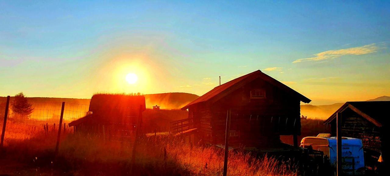 Lokken Fjellgard Villa Folldal Dış mekan fotoğraf