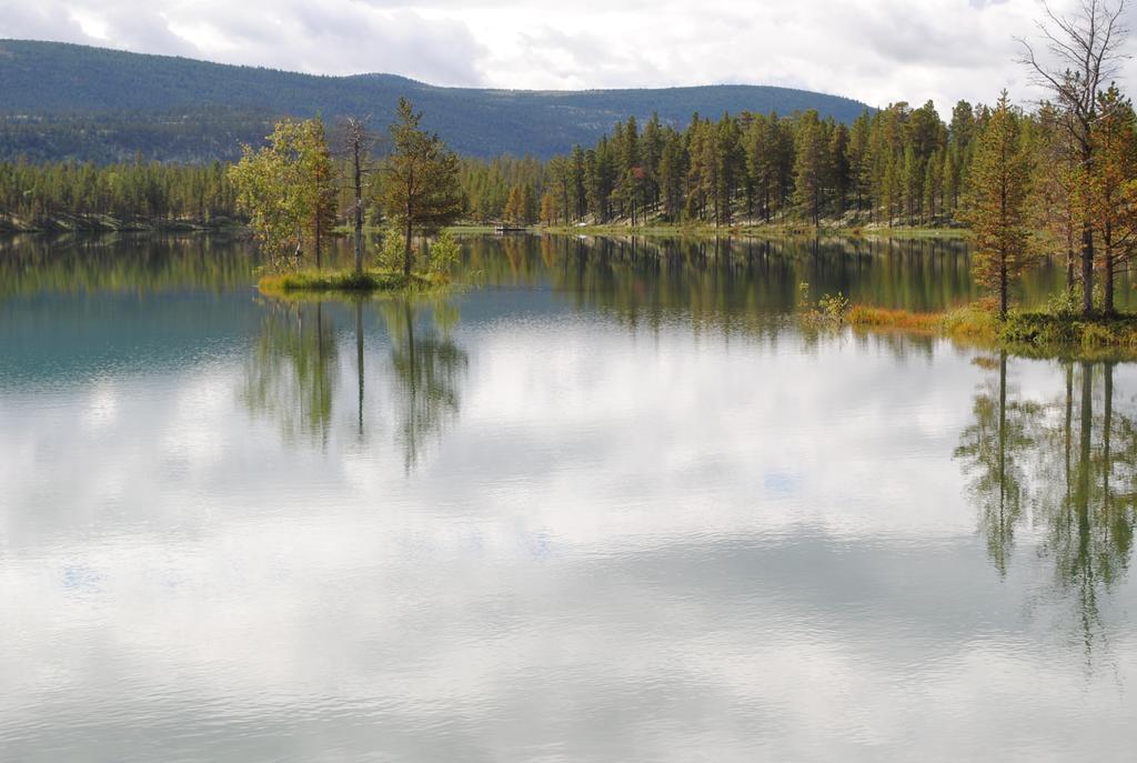 Lokken Fjellgard Villa Folldal Dış mekan fotoğraf