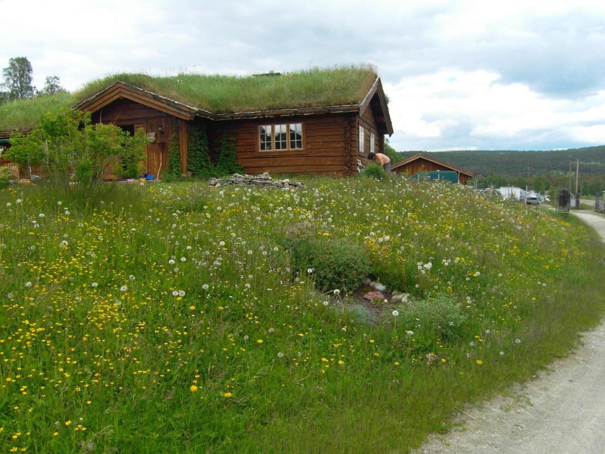 Lokken Fjellgard Villa Folldal Dış mekan fotoğraf